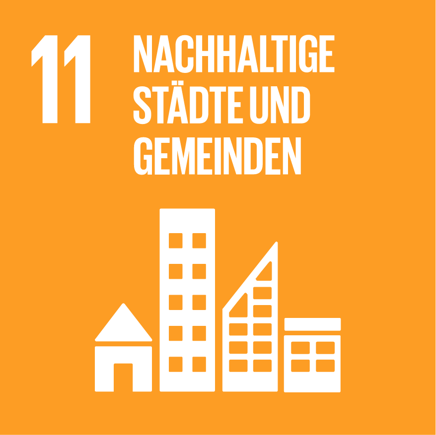 sdg 11