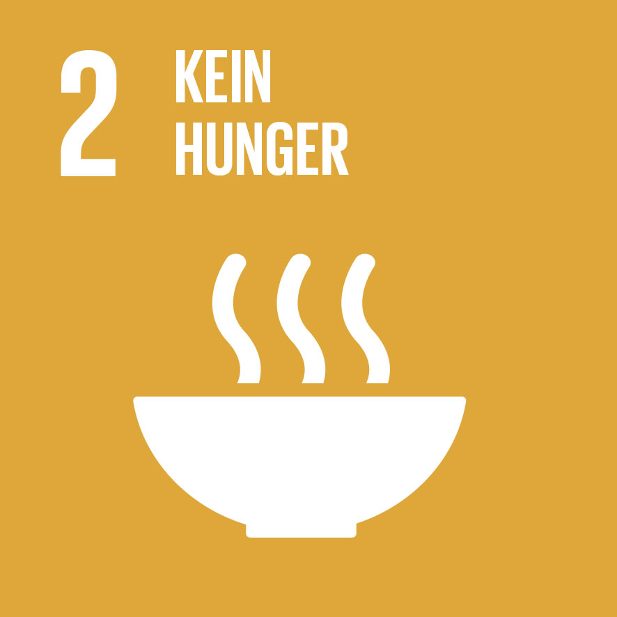 sdg 2