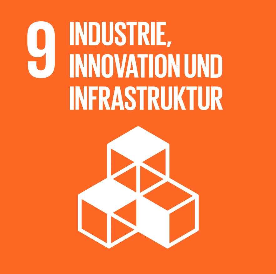 sdg 9